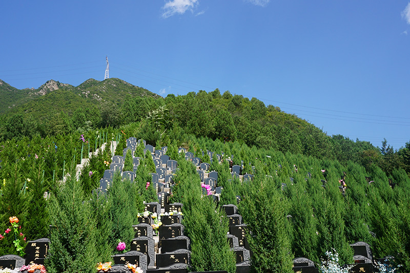 景仰园.jpg